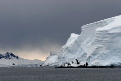 ANTARCTIC-2582